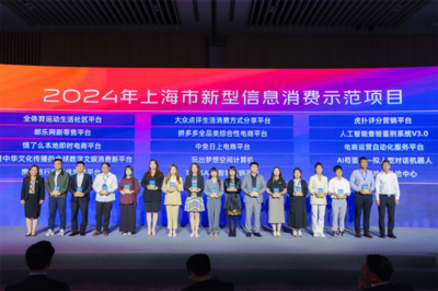 玩出夢(mèng)想科技榮獲“2024年上海市新型信息消費(fèi)示范項(xiàng)目”，助力上海技術(shù)服務(wù)升級(jí)